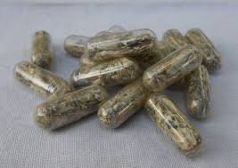 Buy MICRO MUSHROOMS